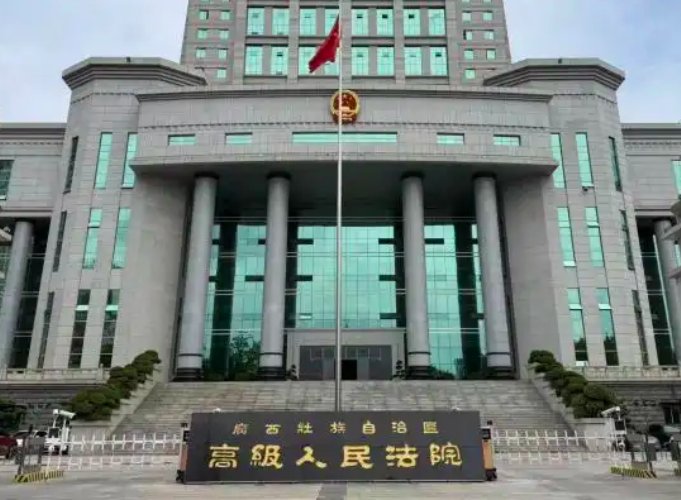儿子去世，孙子非亲生，唯一能起诉的人恰恰是被告
