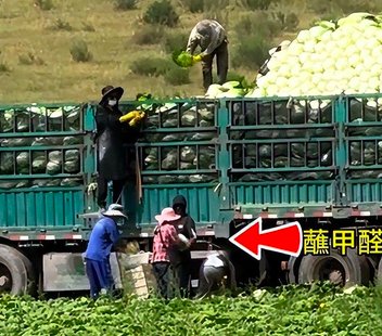 甲醛白菜十四年：一场“地方保护”与“逐利执法”的合谋