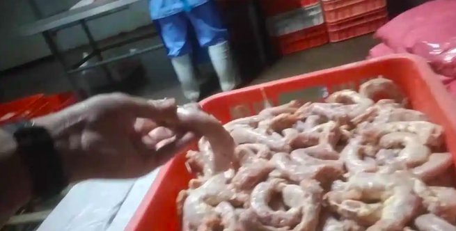 烤肠里的“鸡肉”，为什么没人说得清